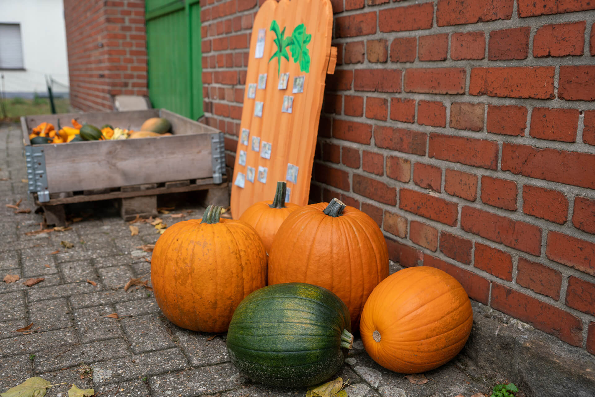 20220920-DSC08085.jpg