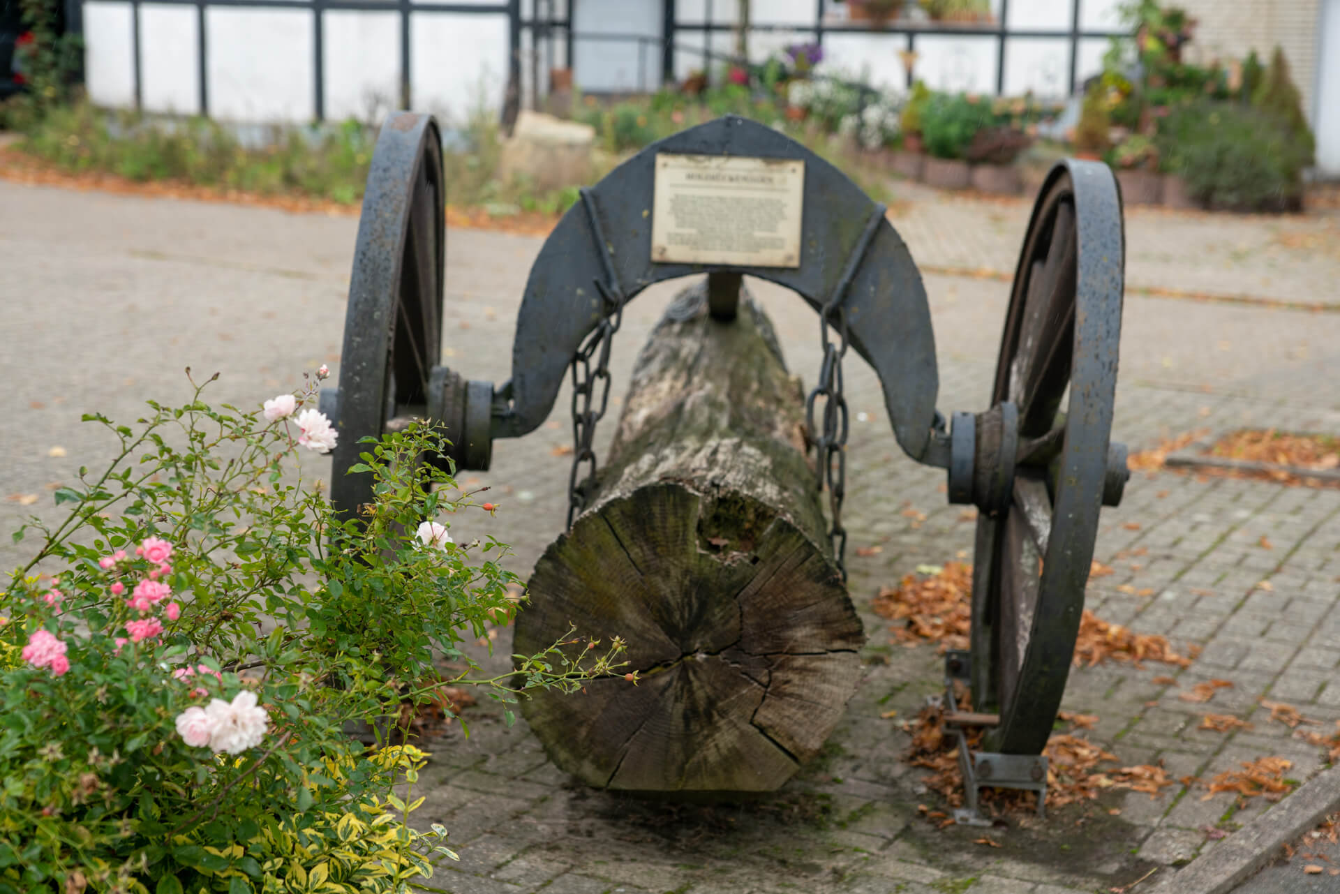 20220920-DSC08090.jpg