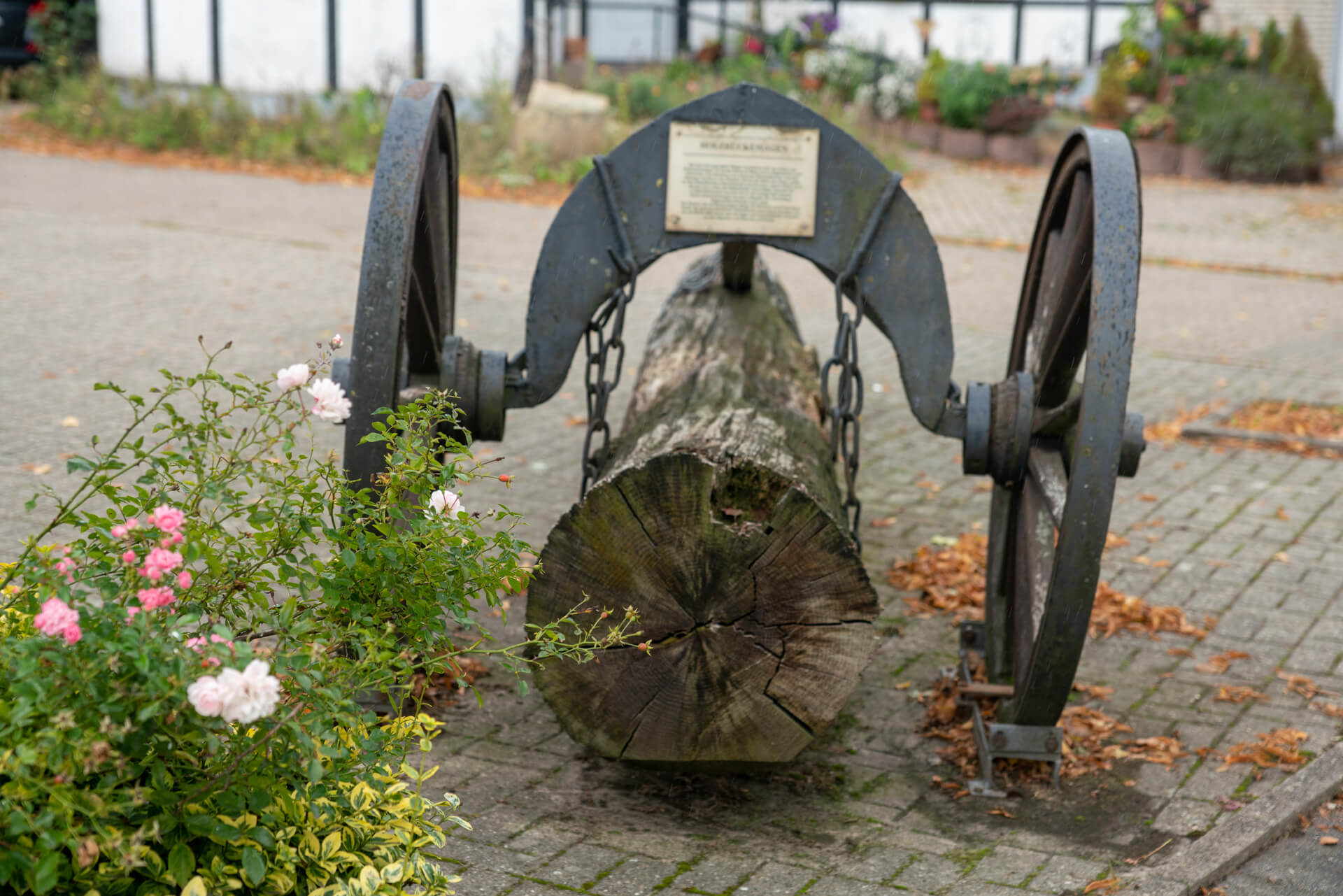 20220920-DSC08091.jpg