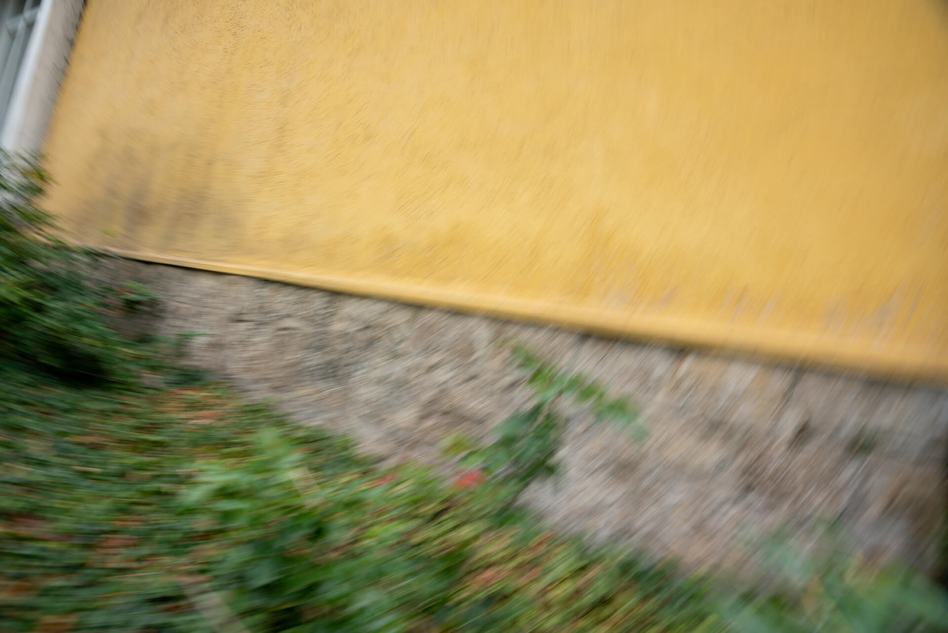 20220920-DSC08118.jpg
