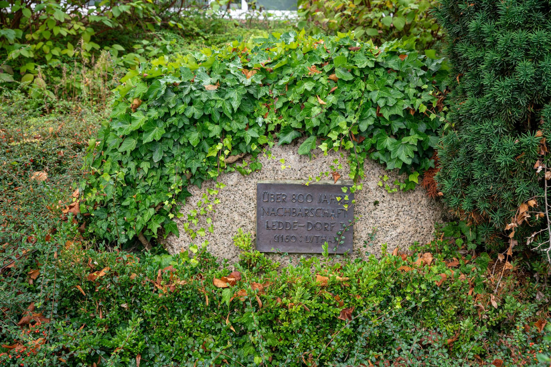 20220920-DSC08119.jpg