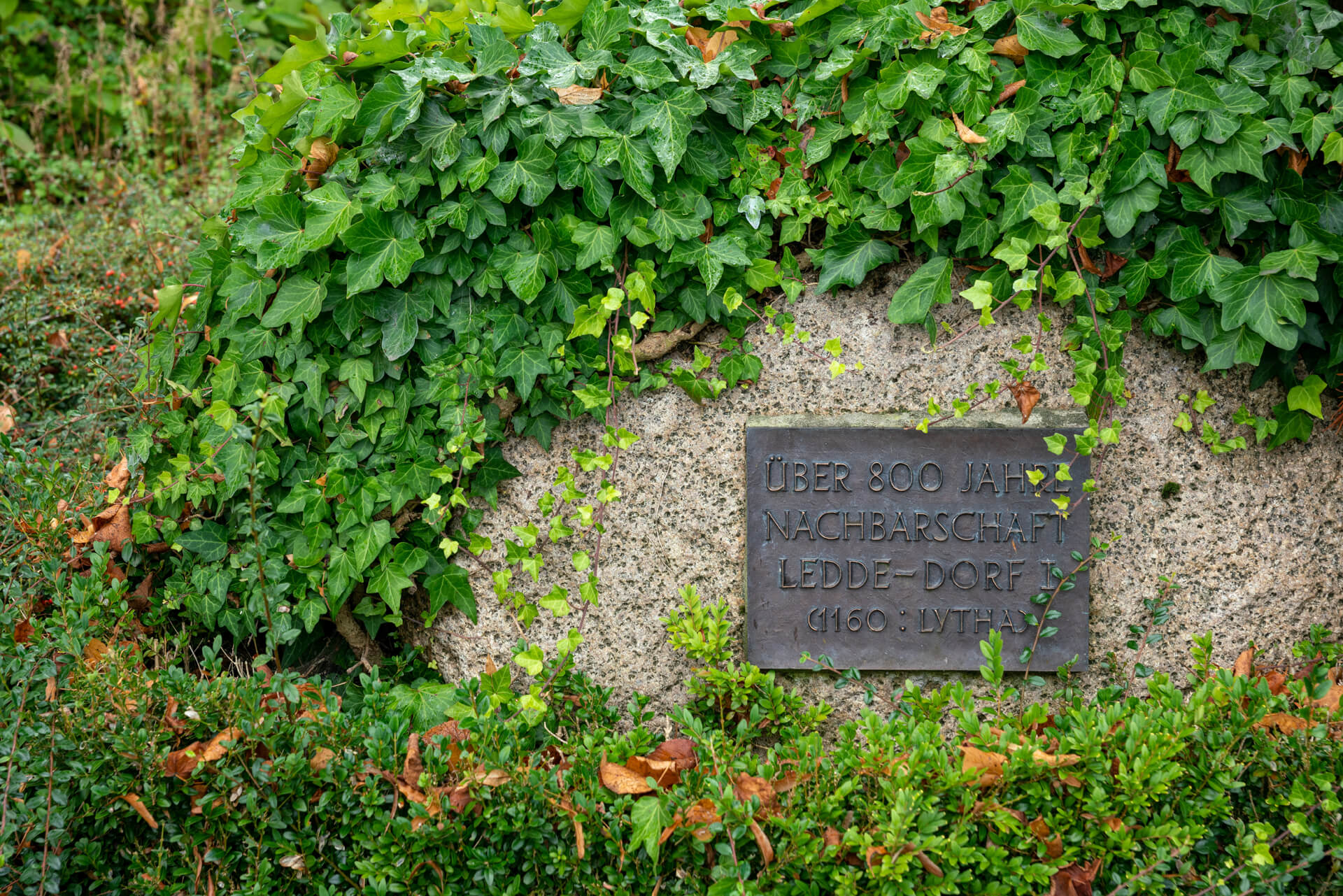 20220920-DSC08120.jpg