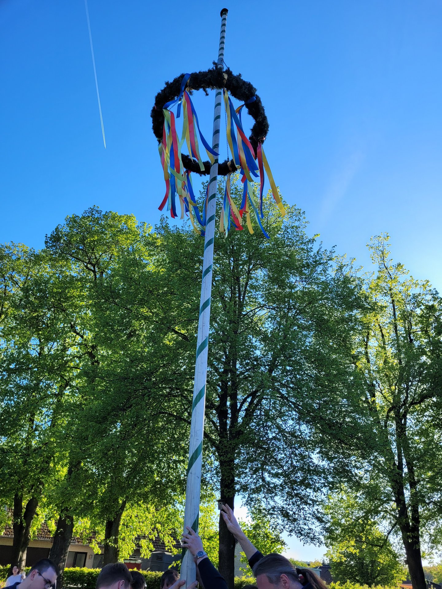 20260430_183001.jpg